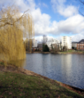 Stadthaus Charlotte: Teilgewerbliche Nutzung einer hochwertig sanierten Wohnungen in Charlottenburg - Nahe am Lietzensee